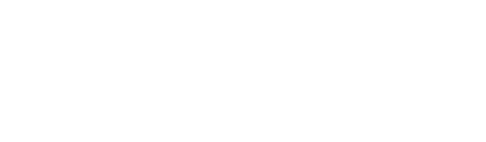 IT Security Consulting Services